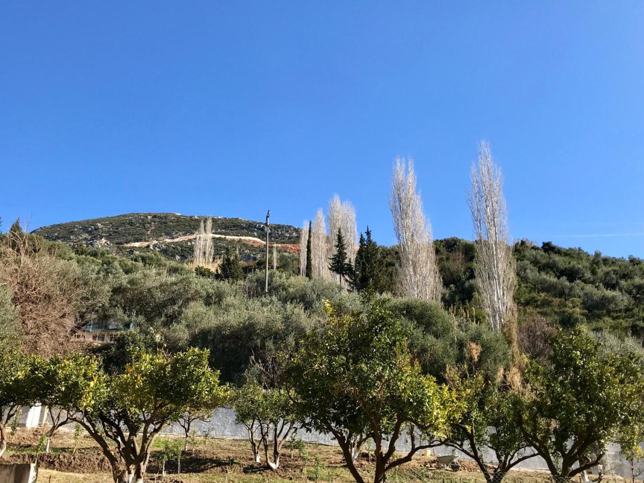 Vlore View Apartment エクステリア 写真